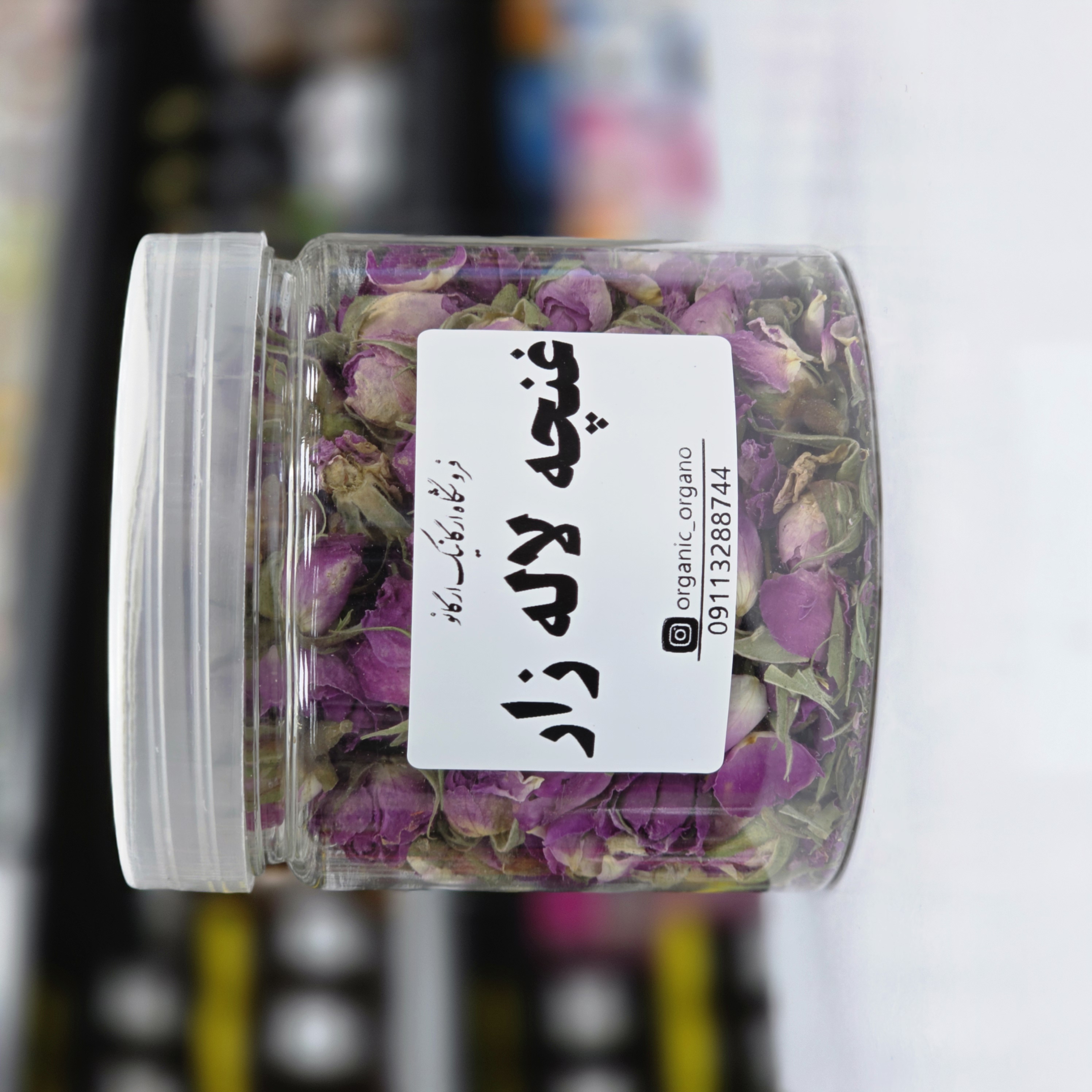 غنچه گل محمدی