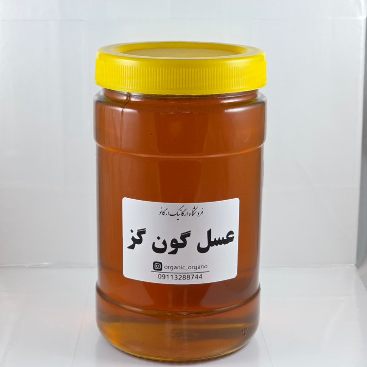 عسل گون گز